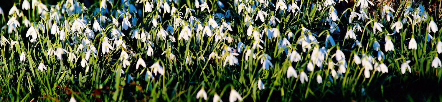 Bucharest Daily Colours